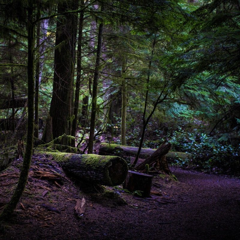 Point Defiance Park hiking trail