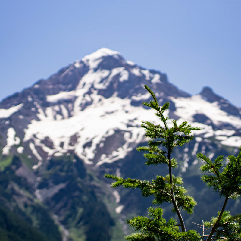 Mount Hood, Washington